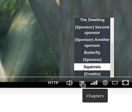 Chapters menu on a video
